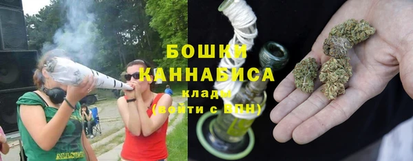 сатива Медногорск